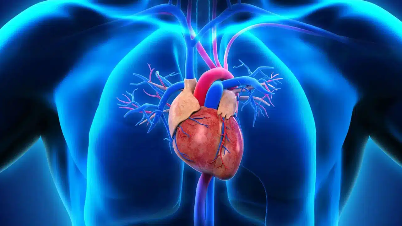 Heart : గుండె ఆరోగ్యం కోసం... తీసుకోవలసిన ఆహారాలు ఇవే...!