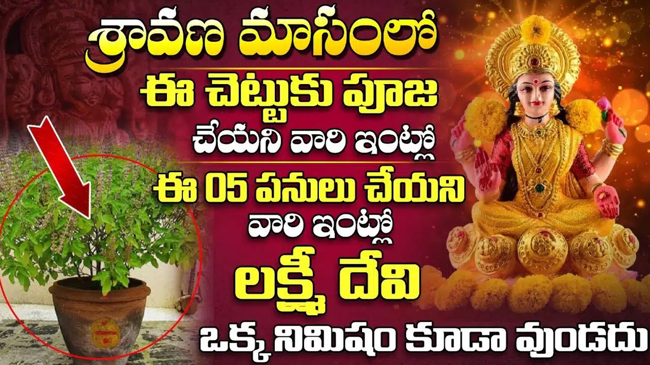 Lakshmis Kataksha : శ్రావణంలో ఈ 5 పనులు చేయకపోతే లక్ష్మీదేవి కటాక్షం ఎప్పటికి లభించదు... తప్పక తెలుసుకోండి...!