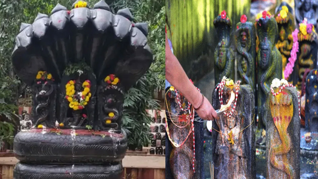 Naga Panchami : వేద పంచాంగం ప్రకారం నాగ పంచమి రోజు ఇలా చేస్తే అధిక ధనలాభం…!