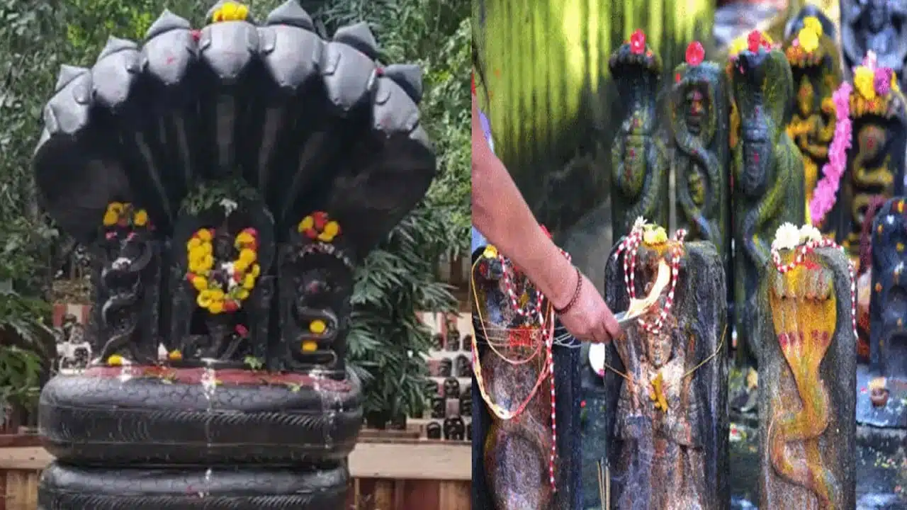 Naga Panchami : వేద పంచాంగం ప్రకారం నాగ పంచమి రోజు ఇలా చేస్తే అధిక ధనలాభం...!