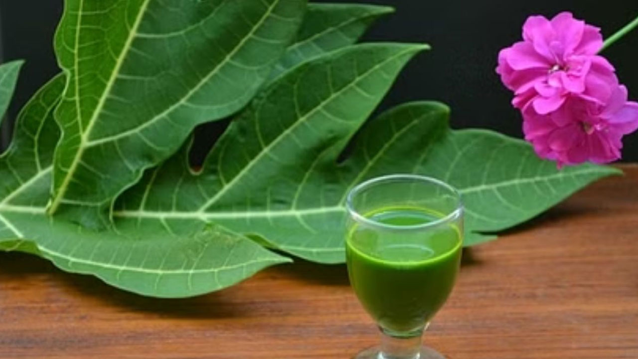 Papaya leaves Juice : ఒక స్పూన్ బొప్పాయి రసంతో ఎన్ని ప్రయోజనాలో… అన్ని సమస్యలకు చెక్…!