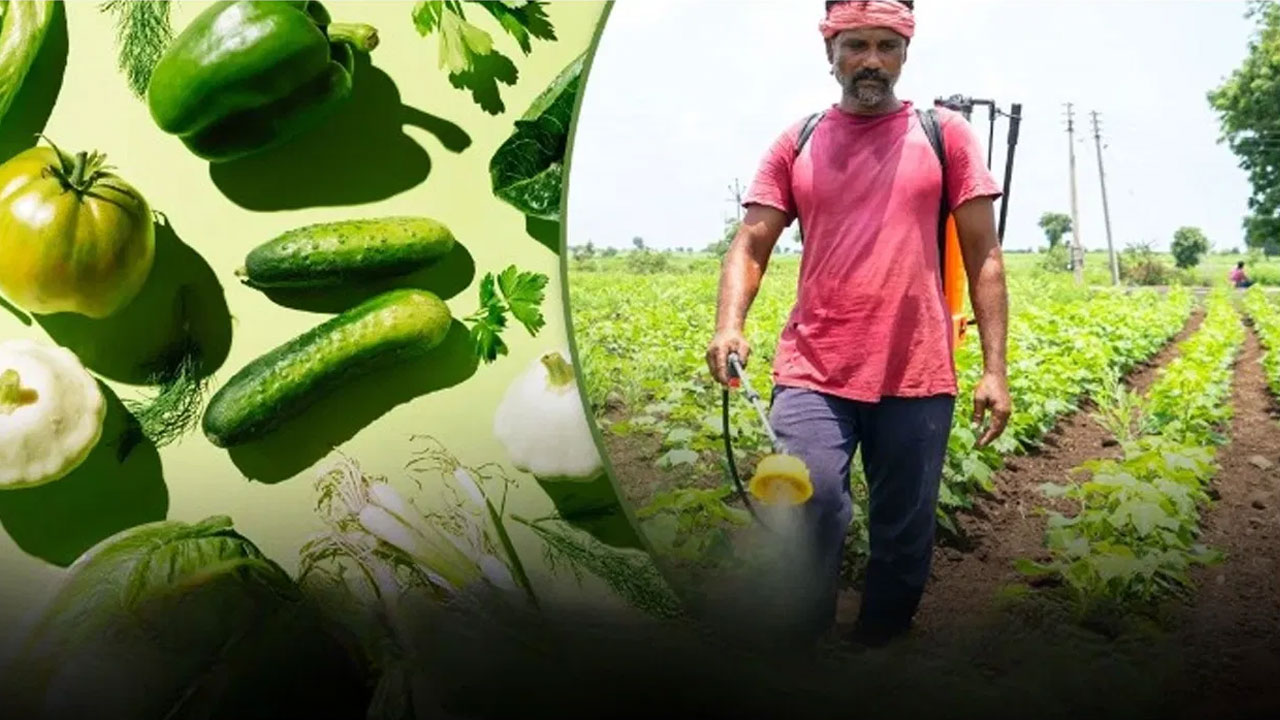 Pesticides : కూర‌గాయ‌ల్లో వినియోగించే పురుగుమందులు మన ఇంద్రియాలను ఎలా దెబ్బతీస్తాయో తెలుసా ?