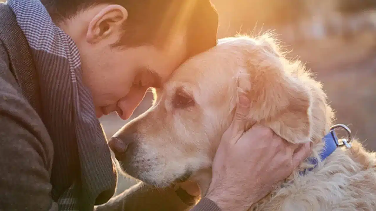 Pet : యజమాని మానసిక ఆరోగ్యం... పెంపుడు జంతువు పై ప్రభావం పడుతుంది తెలుసా...!