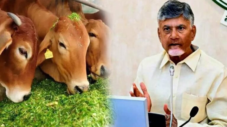 Pashu Bima Scheme : ఏపీ రైతులకు శుభవార్త.. 30 వేలు ఇస్తున్న సీఎం చంద్రబాబు..!