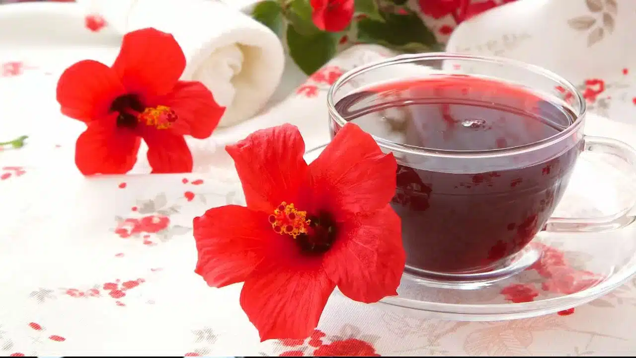 Hibiscus Tea : డైలీ మందార పువ్వుల టీ తీసుకుంటే... ఎన్ని ఆరోగ్య ప్రయోజనాలు తెలుసా...!