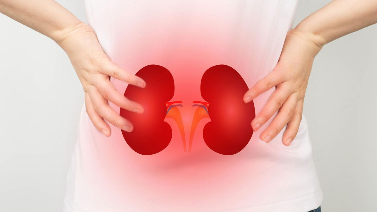 Kidneys : ప్రతిరోజు ఈ ఆహారాలను తీసుకుంటే చాలు… మీ కిడ్నీలు ఆరోగ్యంగా ఉన్నట్లే…!