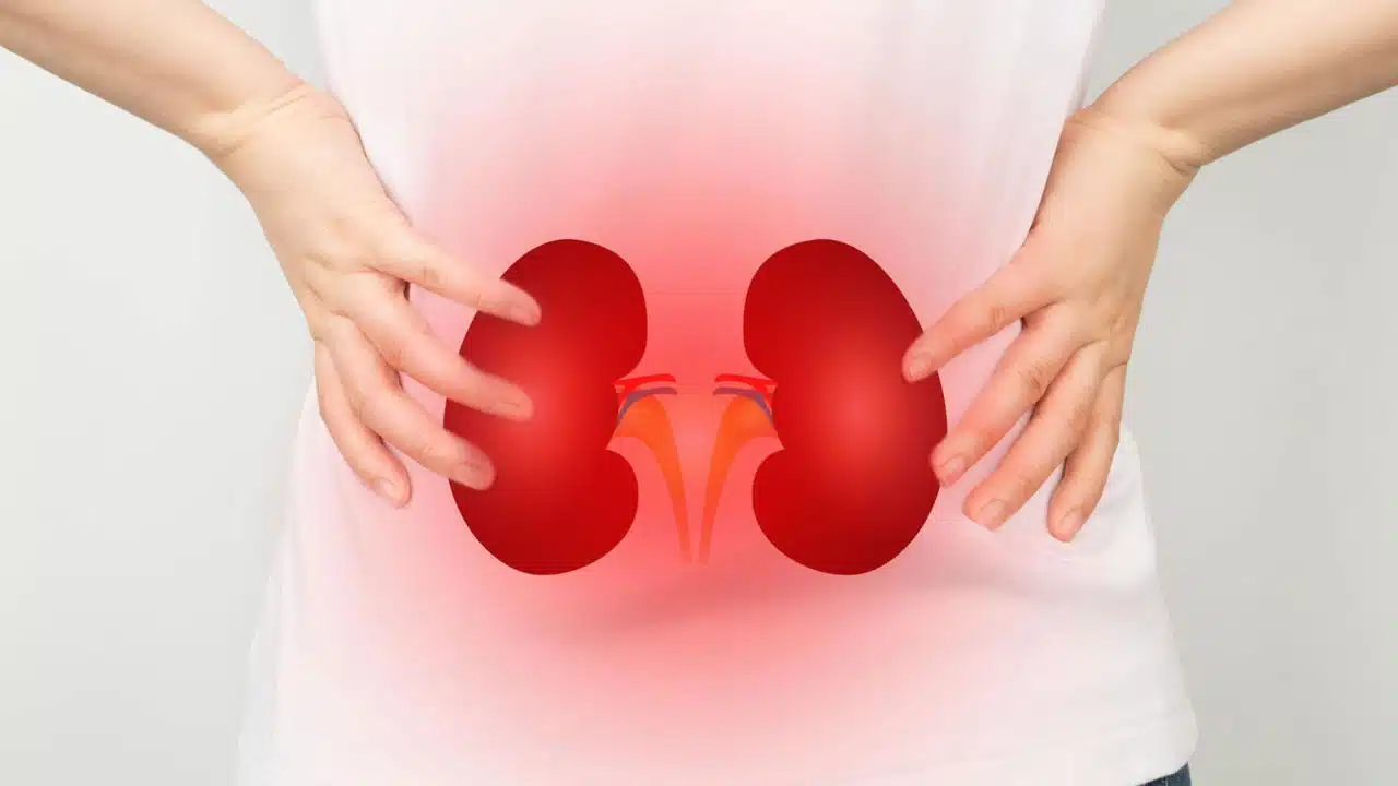 Kidneys : ప్రతిరోజు ఈ ఆహారాలను తీసుకుంటే చాలు... మీ కిడ్నీలు ఆరోగ్యంగా ఉన్నట్లే...!