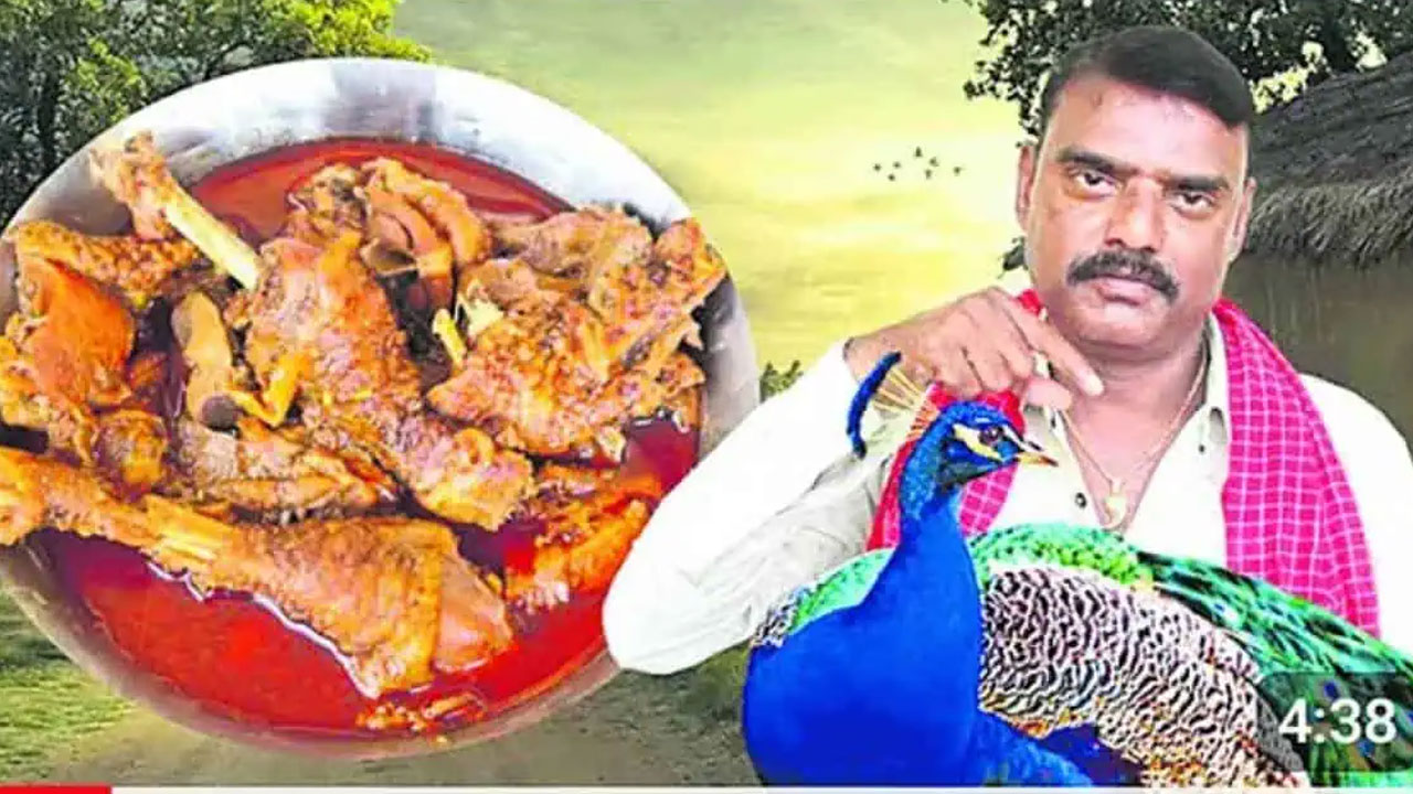 Peacock Curry : కఠకఠాల పాలు చేసిన నెమలి కూర.. సిరిసిల్ల యూట్యూబర్ పై అటవి పోలీసుల యాక్షన్ షురూ..!