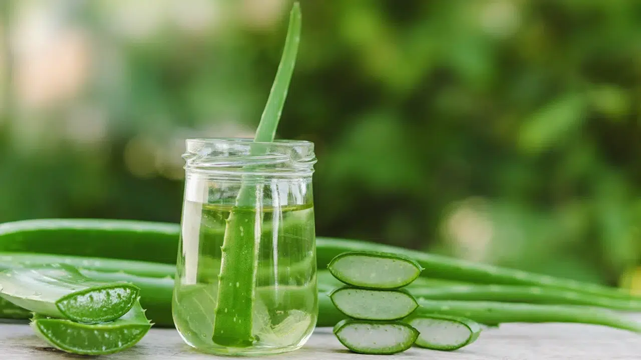 Aloe Vera : కలబందతో చర్మ సమస్యలకు ఈజీగా చెక్ పెట్టొచ్చు తెలుసా...!