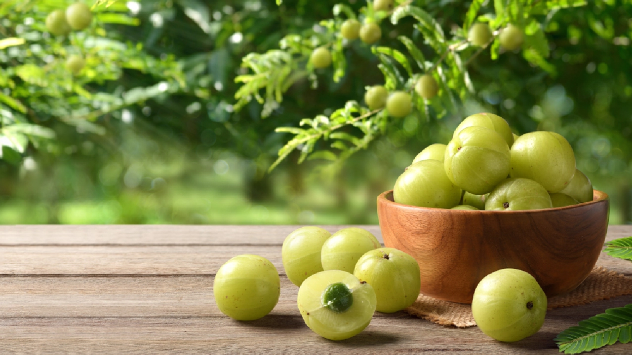 Amla Juice : ప్రతిరోజు ఒక గ్లాస్ ఈ జ్యూస్ తాగండి… కొద్ది రోజుల్లోనే మీలో వచ్చే మార్పులు గమనించండి…