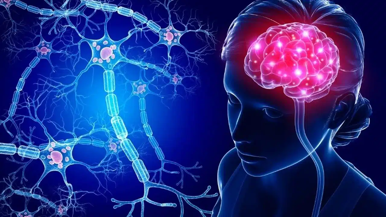 Brain Foods : మెదడు మరింత చురుగ్గా ఉండాలి అంటే... ఈ ఆహారాలను తీసుకోవాలి...