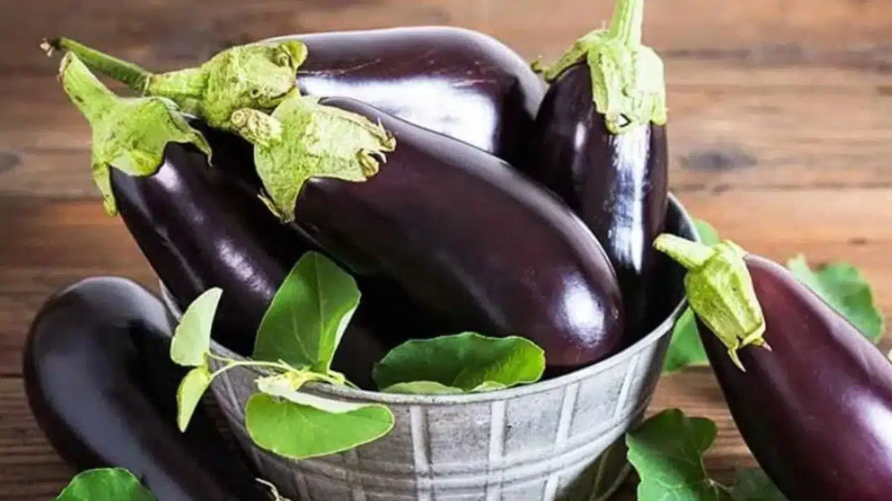 Brinjal : ఈ ఐదు రకాల సమస్యలు ఉన్నవారు... వంకాయ అస్సలు తినకూడదు... ఎందుకంటే...??