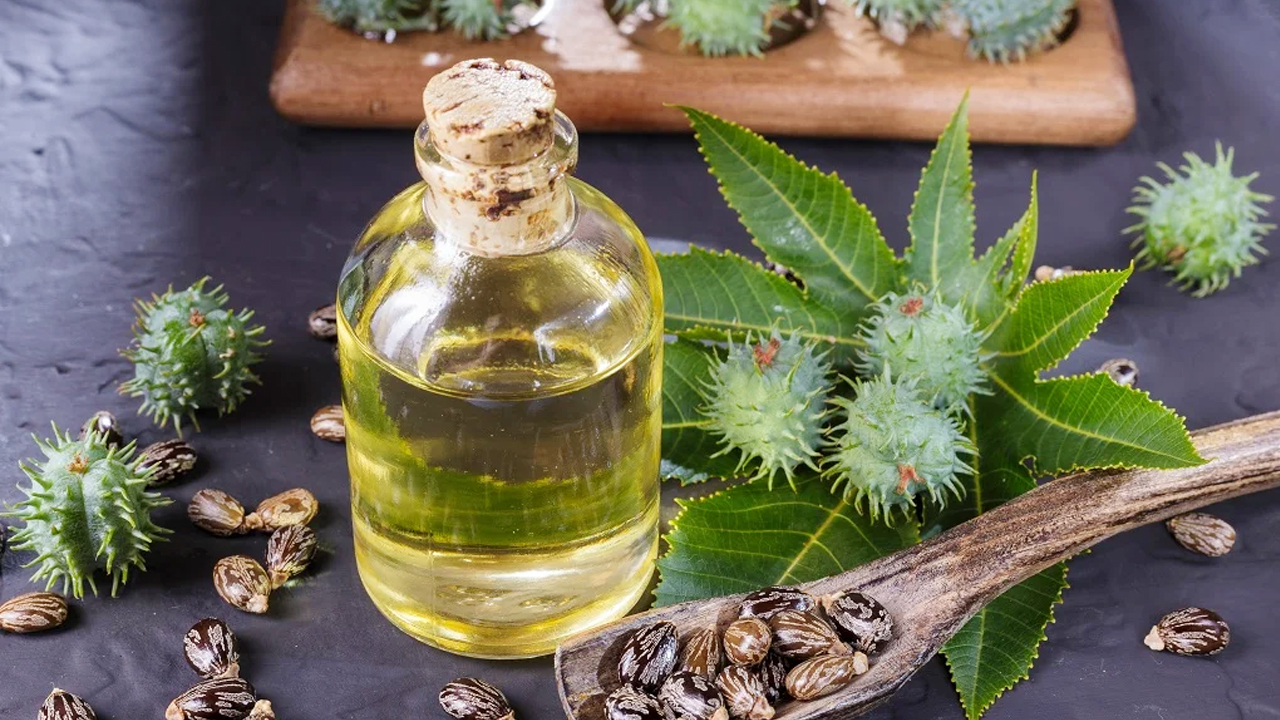 Castor Oil : బ్యూటీ కేర్ లో ఆముదాన్ని ఎలా ఉపయోగించాలో తెలుసా…!!