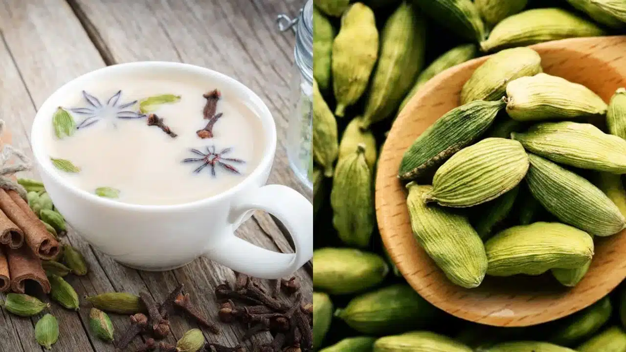Golden Milk : గోరువెచ్చని పాలలో యాలకులు, పసుపు కలిపి తాగడం వల్ల కలిగే లాభాలు తెలిస్తే... ఆశ్చర్యపోతారు...!!