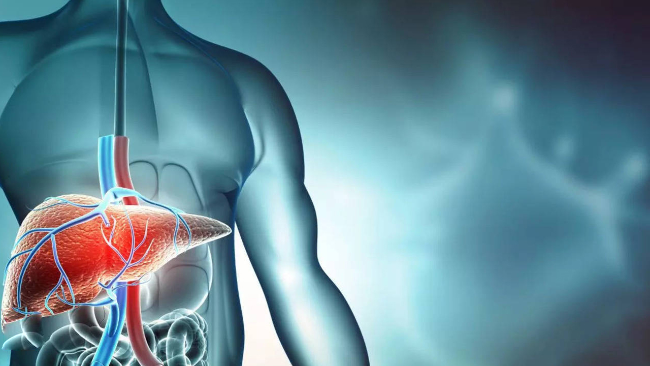 Liver : లివర్ ఆరోగ్యంగా ఉండాలంటే… ఈ ఆహారాలను తీసుకోండి…?