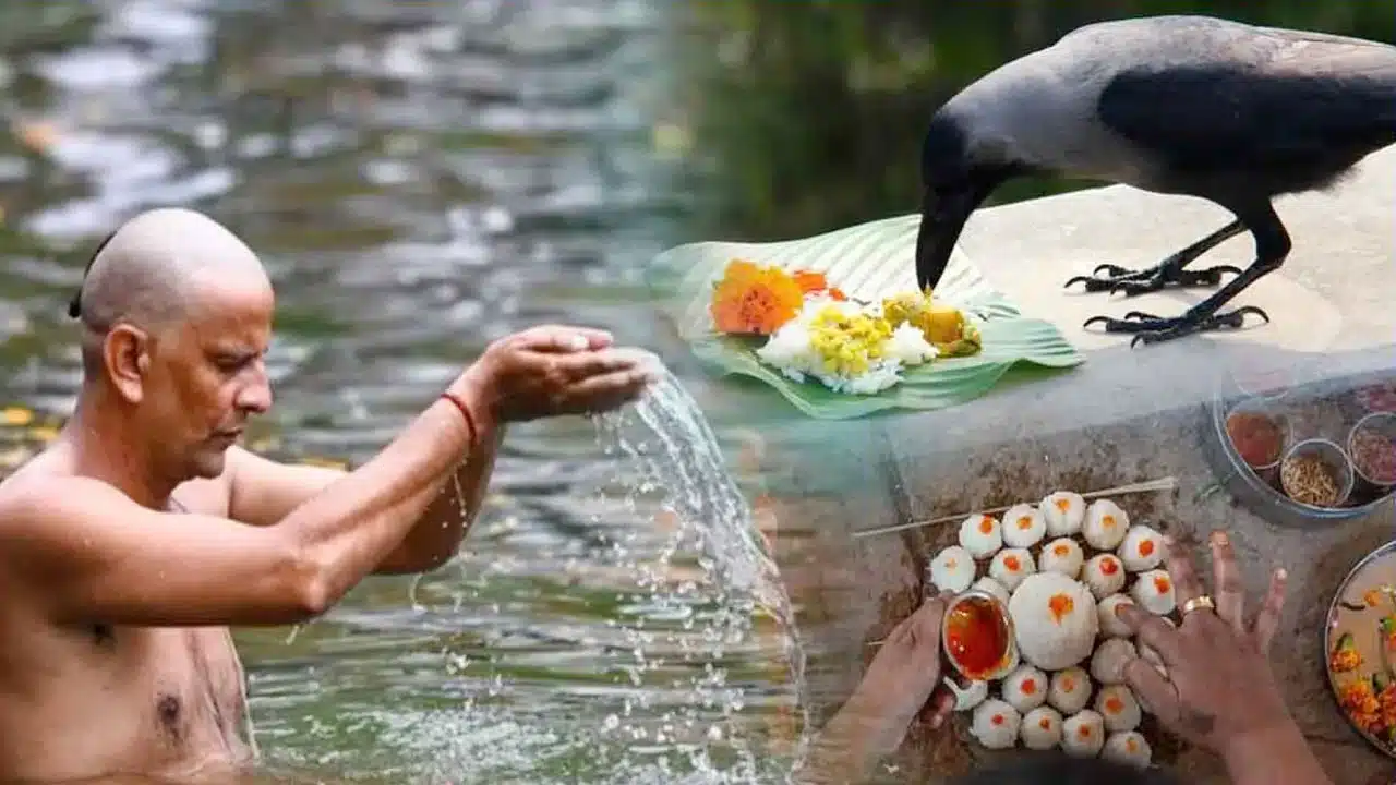 Pitru Paksha : రేపటి నుంచి 15 రోజులపాటు పొరపాటున ఈ పనులు అస్సలు చేయకండి... నష్టపోతారు...!