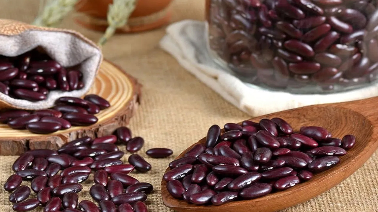 Rajma Seeds : రాజ్మా ను రోజు తీసుకుంటే…  ఈ సమస్యలకు చెక్ పెట్టొచ్చు తెలుసా…!