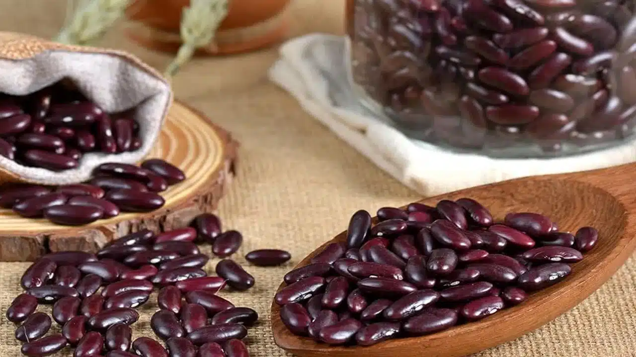 Rajma Seeds : రాజ్మా ను రోజు తీసుకుంటే...  ఈ సమస్యలకు చెక్ పెట్టొచ్చు తెలుసా...!