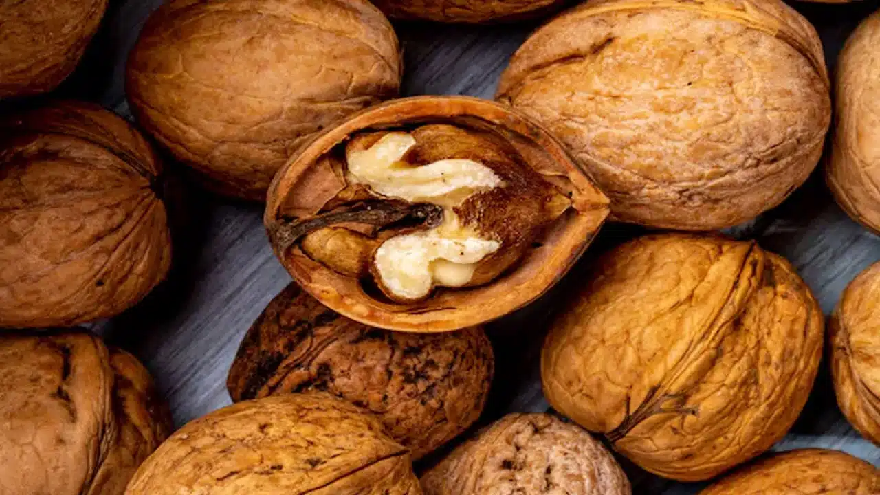 Tiger Nuts : టైగర్ నట్స్ లో ఉన్న ఆరోగ్య ప్రయోజనాలు ఏంటో తెలుసా...!!