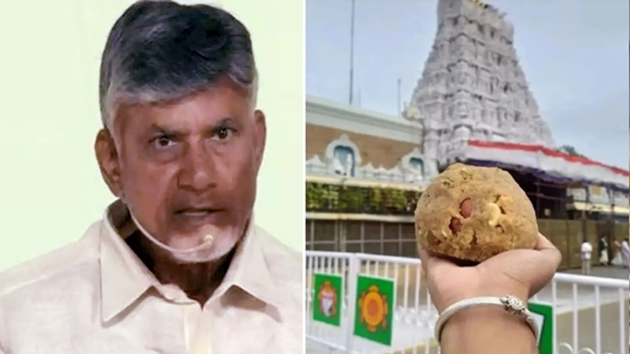 Tirumala Laddu : తిరుపతి ల‌డ్డూ విష‌యంలో కీల‌క నిర్ణ‌యం తీసుకున్న చంద్ర‌బాబు.. సిట్ విచార‌ణ‌..!