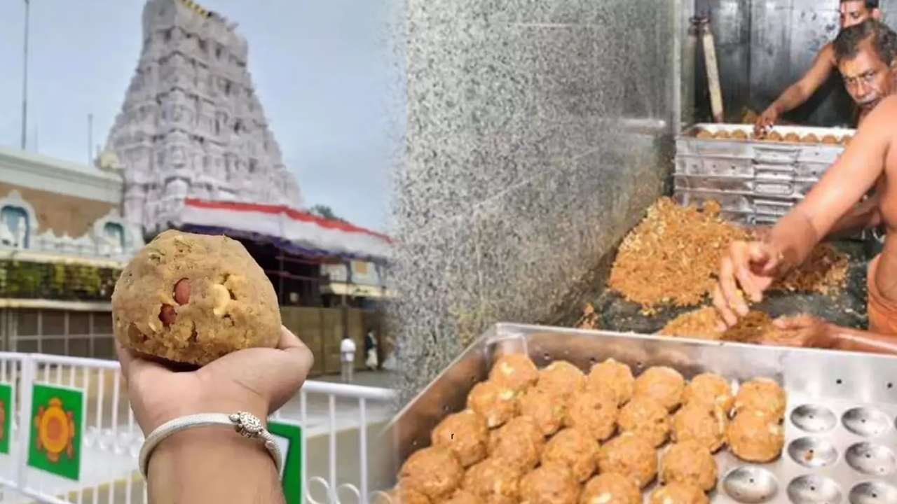 Tirumala Laddu Prasadam : సంచలనంగా మారిన తిరుపతి లడ్డూ వివాదం.. దీని కారకులు ఎవరు..?