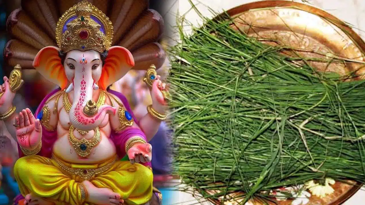 Durva Grass : వినాయకునికి నైవేథ్యంగా ఈ మొక్క మీ ఆరోగ్య సమస్యలను నయం చేస్తుందంటే నమ్ముతారా...!!