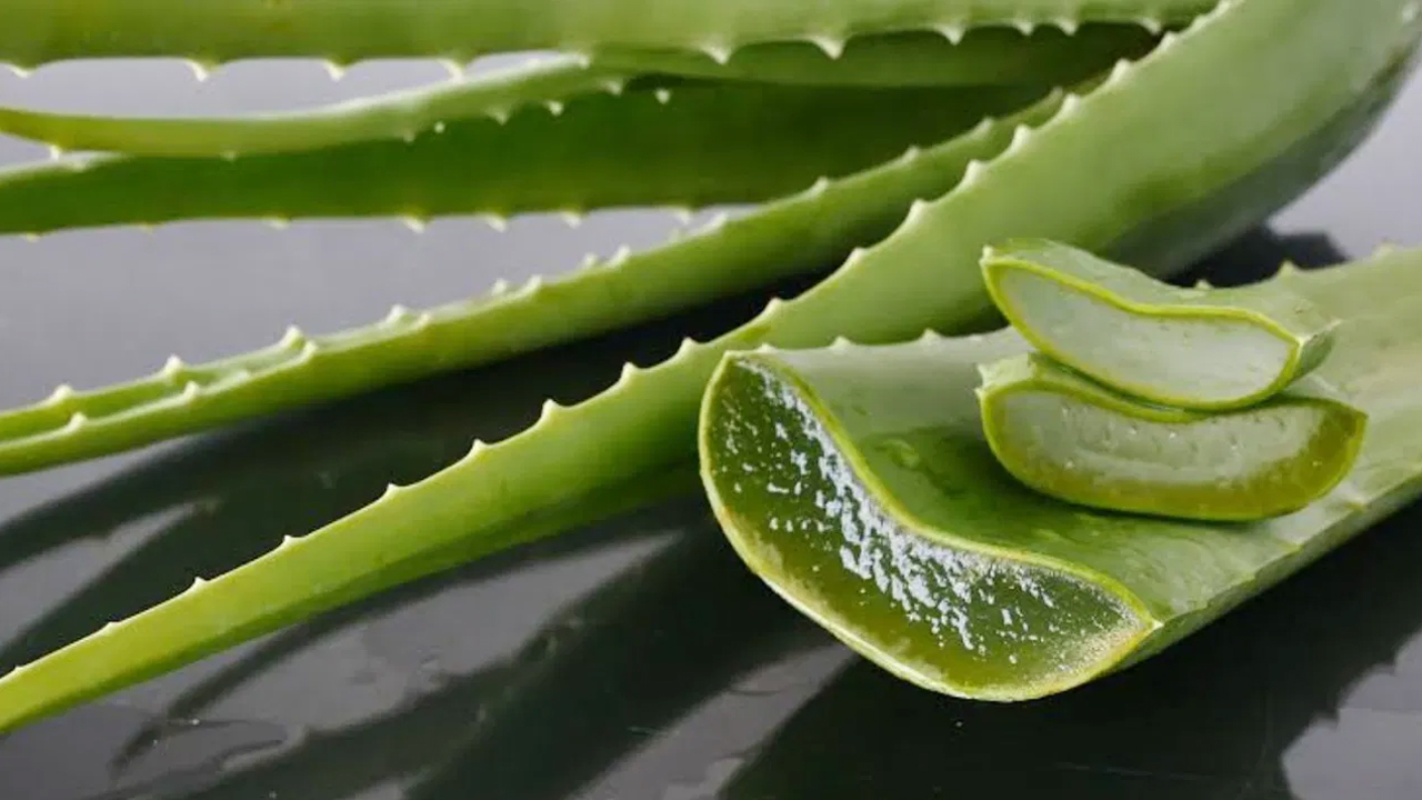 Aloe Vera : కలబందతో ఆరోగ్యం మాత్రమే కాదు మెరిసే చర్మం మీ సొంతం…!