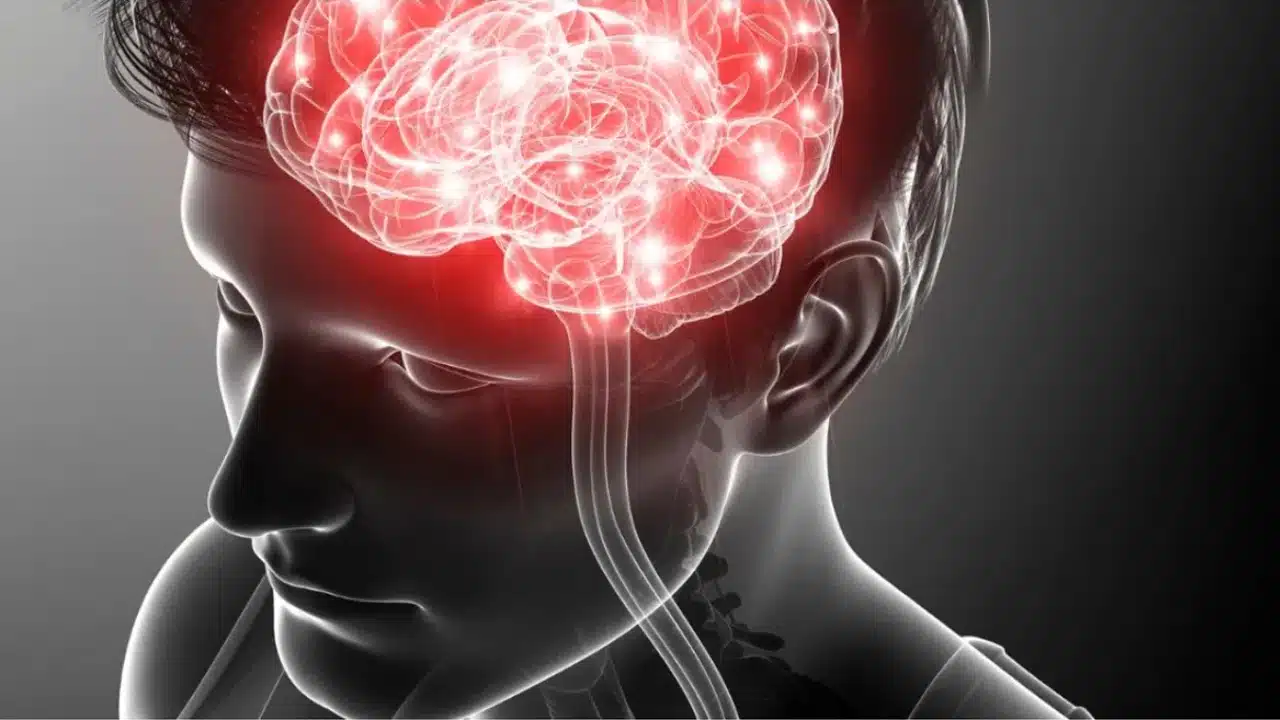 Brain Health : బ్రెయిన్ హెల్దిగా పని చేయాలంటే... మీరు తీసుకోవలసిన ఆహారాలు ఇవే...!!