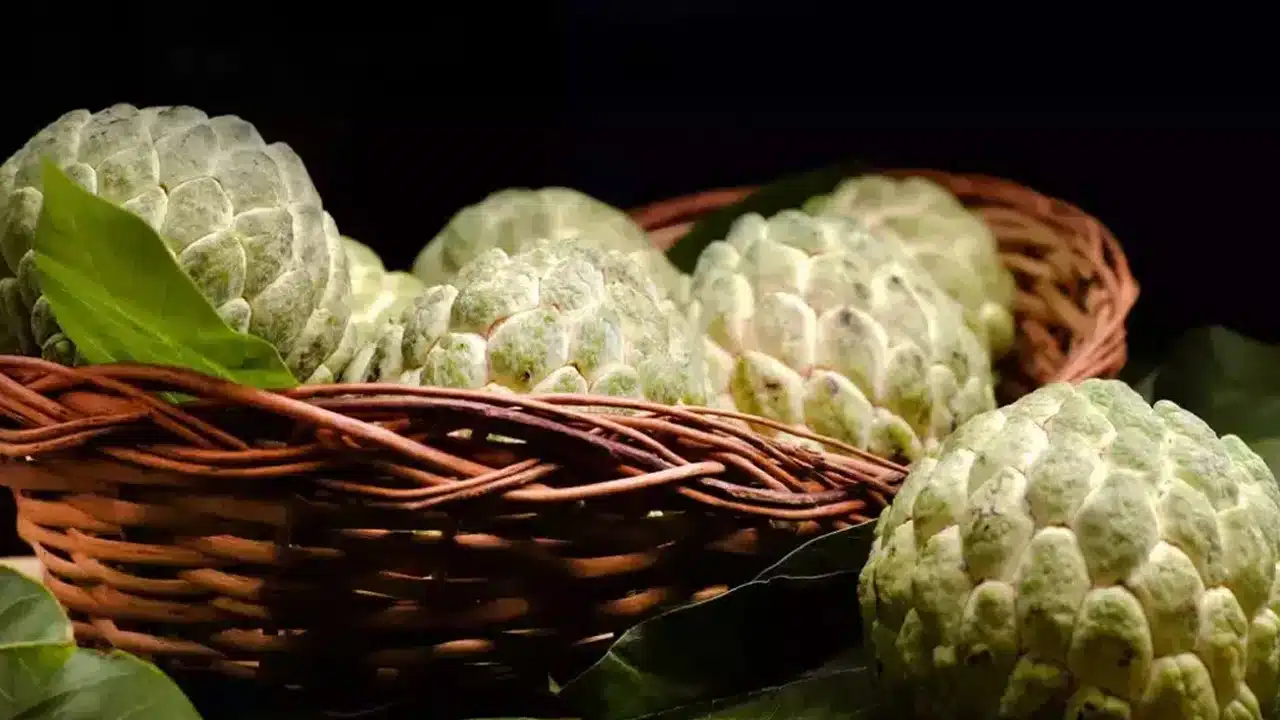 Custard Apple : సీతాఫలాలను అధికంగా తినేవారు... ఈ సమస్యలు తప్పవు... జాగ్రత్త...!!