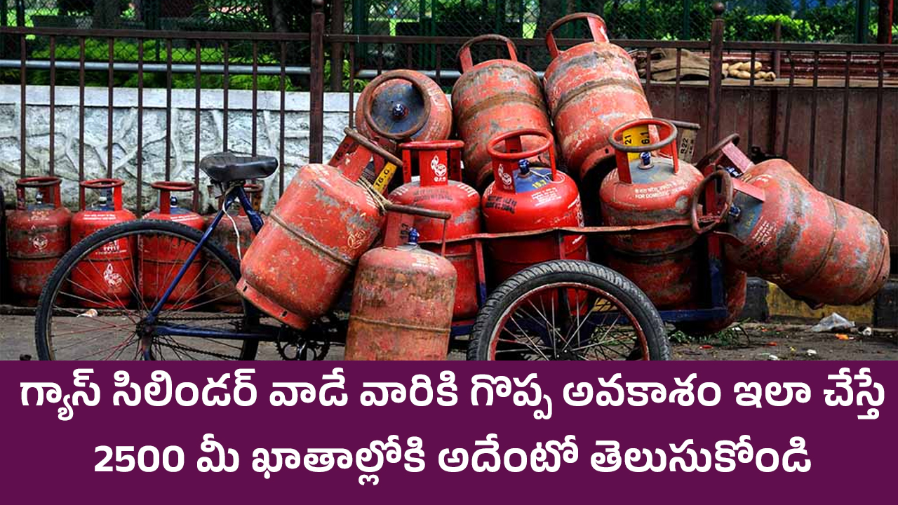 Free Cylinder : గ్యాస్ సిలిండర్ వాడే వారికి గొప్ప అవకాశం.. ఇలా చేస్తే 2500 మీ ఖాతాల్లోకి.. అదేంటో తెలుసుకోండి..!