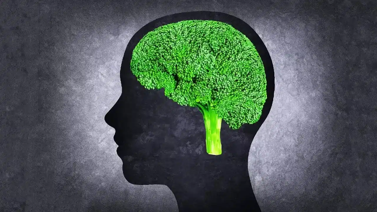 Increase Memory : మీ డైట్ లో ఈ ఆహారాలను చేర్చుకోండి... జీవితంలో మతిమరుపు సమస్య రాదు..!