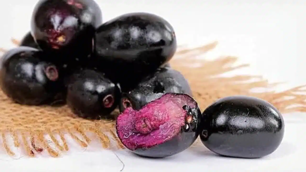 Jamun Seeds : నేరేడు పండ్లను తిని గింజలు పారేస్తున్నారా... ఈ విషయాలు తెలిస్తే... అస్సలు పడేయరు...??