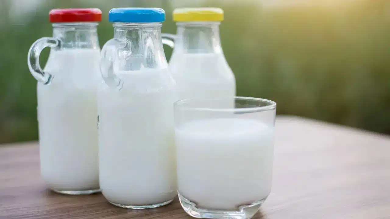 Milk : పాలలో ఎన్ని రకాలు ఉన్నాయి...? వాటిలో ఉన్న విటమిన్స్ ఏంటి...??