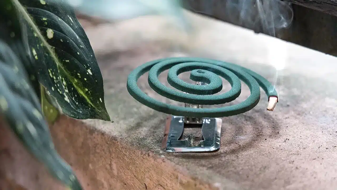 Mosquito Coils : మస్కిటో కాయిల్స్ నుండి వచ్చే పొగ మన ఆరోగ్యాన్ని ఎంతలా పాడు చేస్తాయో తెలుసా...!!