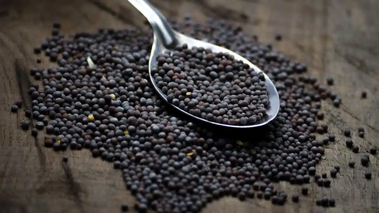 Mustard Seeds : ఆవాలలో ఉన్న ఔషధ గుణాలు తెలిస్తే... తినకుండా అస్సలు ఉండలేరు...!!