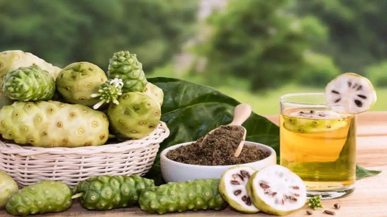 Noni Fruit : నోని పండు గురించి ఎప్పుడైనా విన్నారా... దీని ప్రయోజనాలు తెలిస్తే... ఆశ్చర్యపోతారు...!!