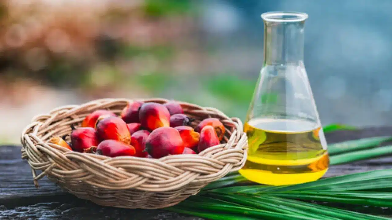Palm Oil : ఫామ్ ఆయిల్ ను తీసుకుంటే ఆరోగ్యానికి మంచిదే తెలుసా...!!
