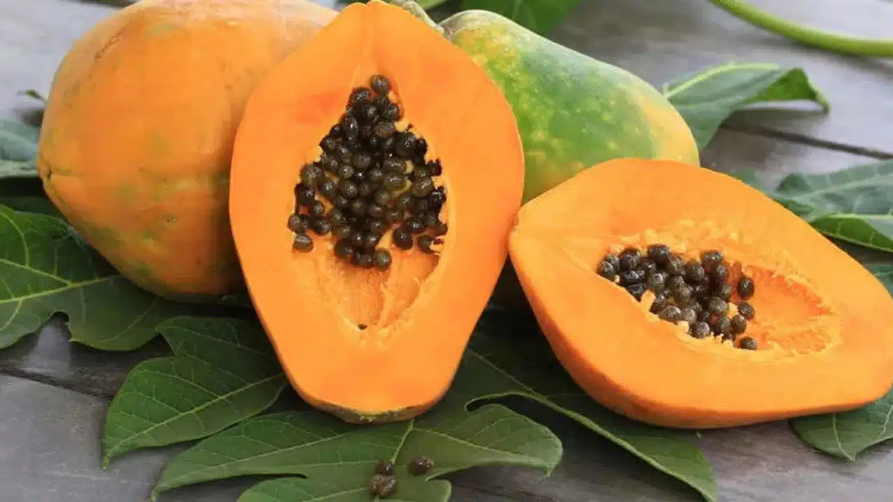 Papaya : బొప్పాయిని ఈ టైంలో తీసుకుంటే చాలు... ఆరోగ్యం తో పాటు అందం మీ సొంతం...!!