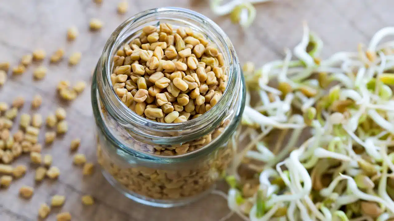 Sprouted Fenugreek Seeds : డయాబెటిస్ కు శాశ్వతంగా చెక్ పెట్టాలంటే... ప్రతిరోజు మొలకెత్తిన మెంతులను తీసుకోండి...??