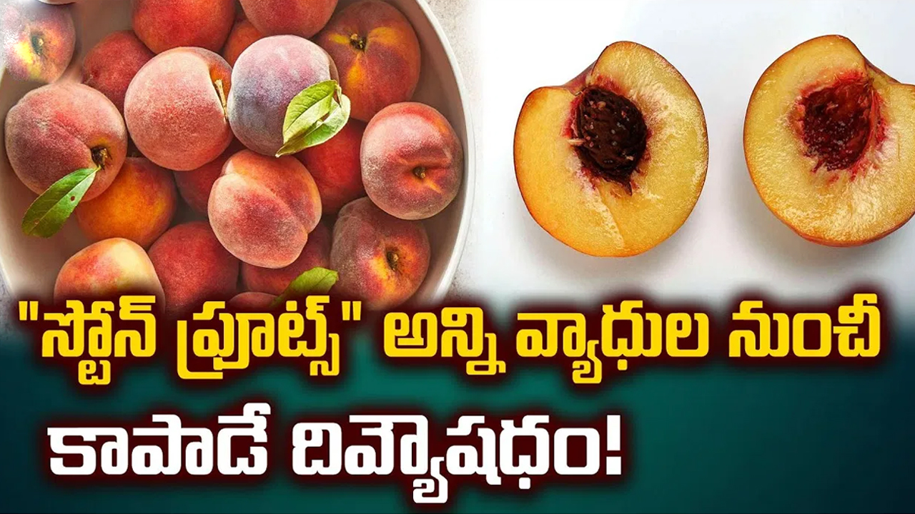 Stone Fruits : స్టోన్ ఫ్రూట్ గురించి ఎప్పుడైనా విన్నారా…ఇది అన్ని రకాల వ్యాధులకు దివ్య ఔషధం…!!