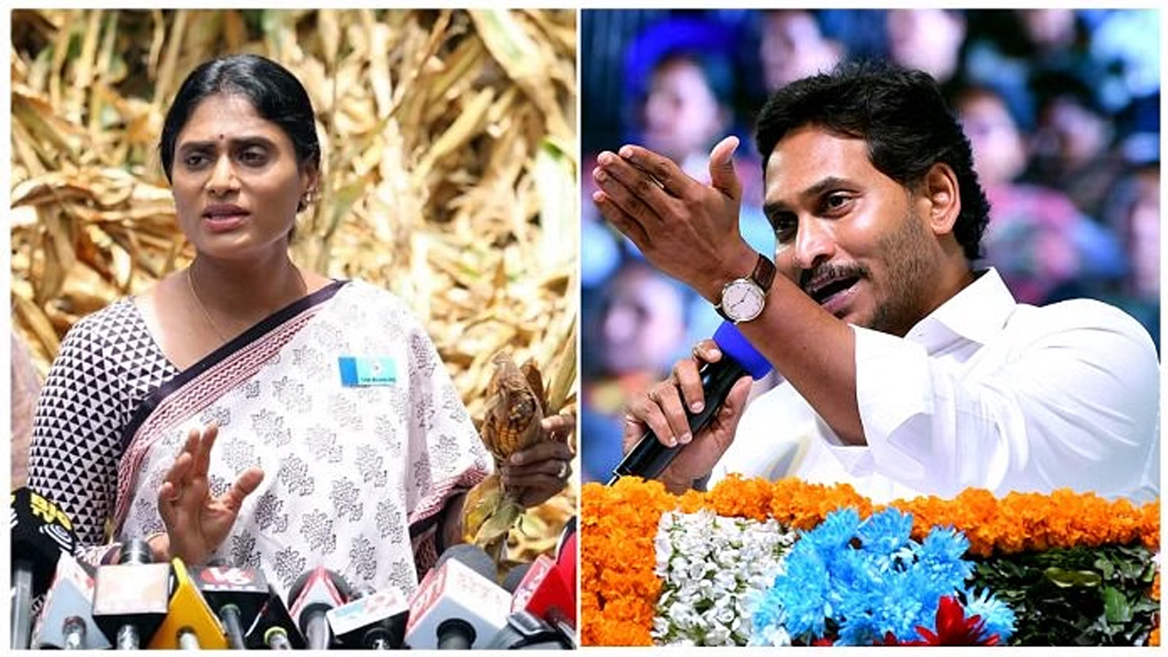 Ys sharmila : జ‌గ‌న్‌ని వదిలిపెట్టేది లేదంటున్న ష‌ర్మిళ‌.. మ‌ధ్య‌లో దూరిన సాక్షి