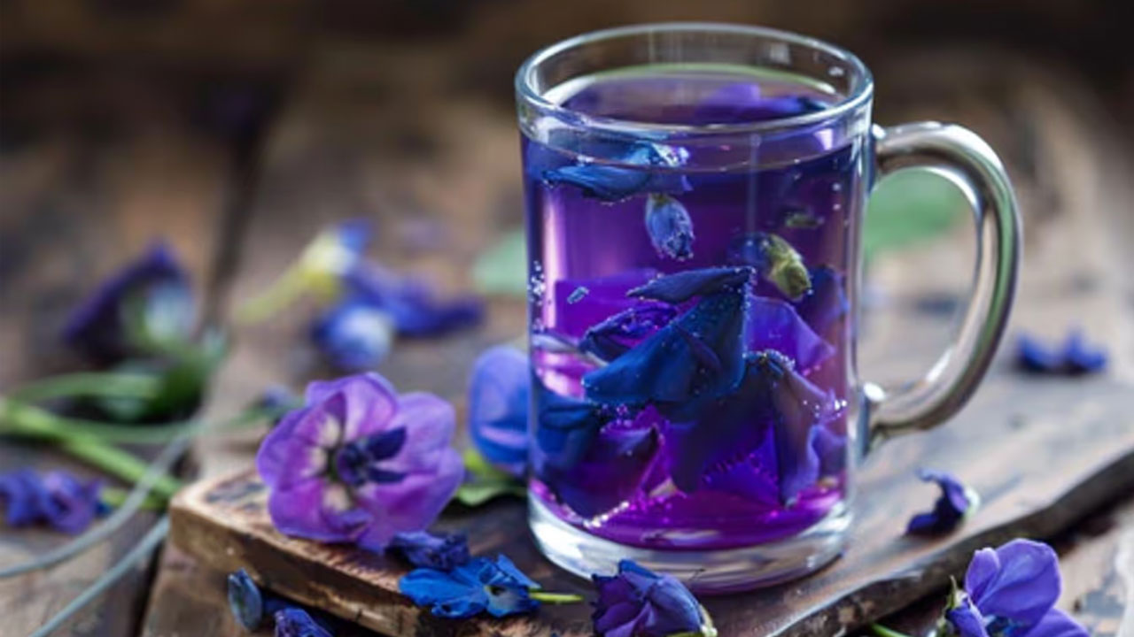 Butterfly Pea Flower Tea : ఈ పూలలో ఉన్న ఆరోగ్య ప్రయోజనాలు తెలిస్తే… అస్సలు వదలరు…??