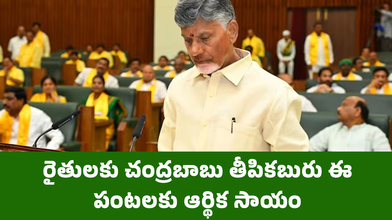 Chandrababu : రైతులకు చంద్రబాబు తీపికబురు.. ఈ పంటలకు ఆర్థిక సాయం..!