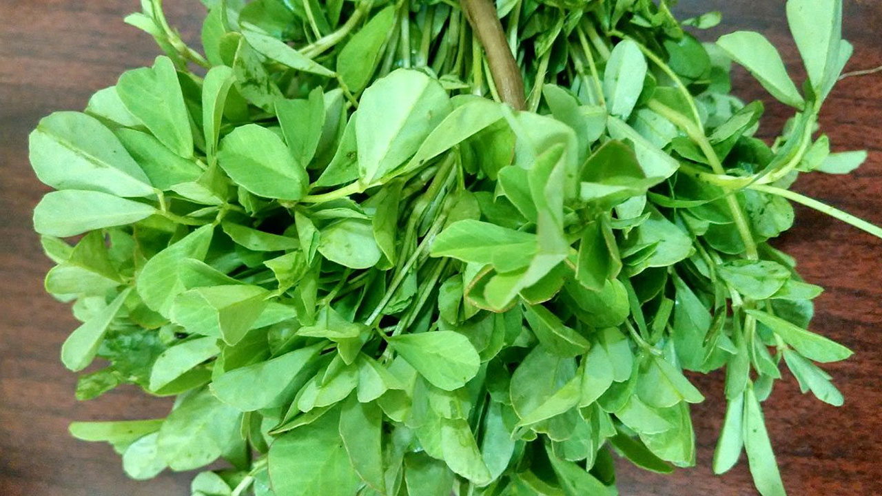 Fenugreek Leaves : మెంతికూరను తీసుకుంటే శరీరంలో జరిగే మార్పులు ఏమిటో తెలుసా…!!