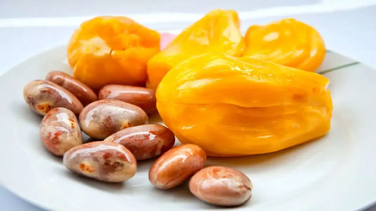 Jackfruit Seeds : పనసపండు మాత్రమే కాదు గింజలు కూడా ఆరోగ్యానికి దివ్య ఔషధం...!!