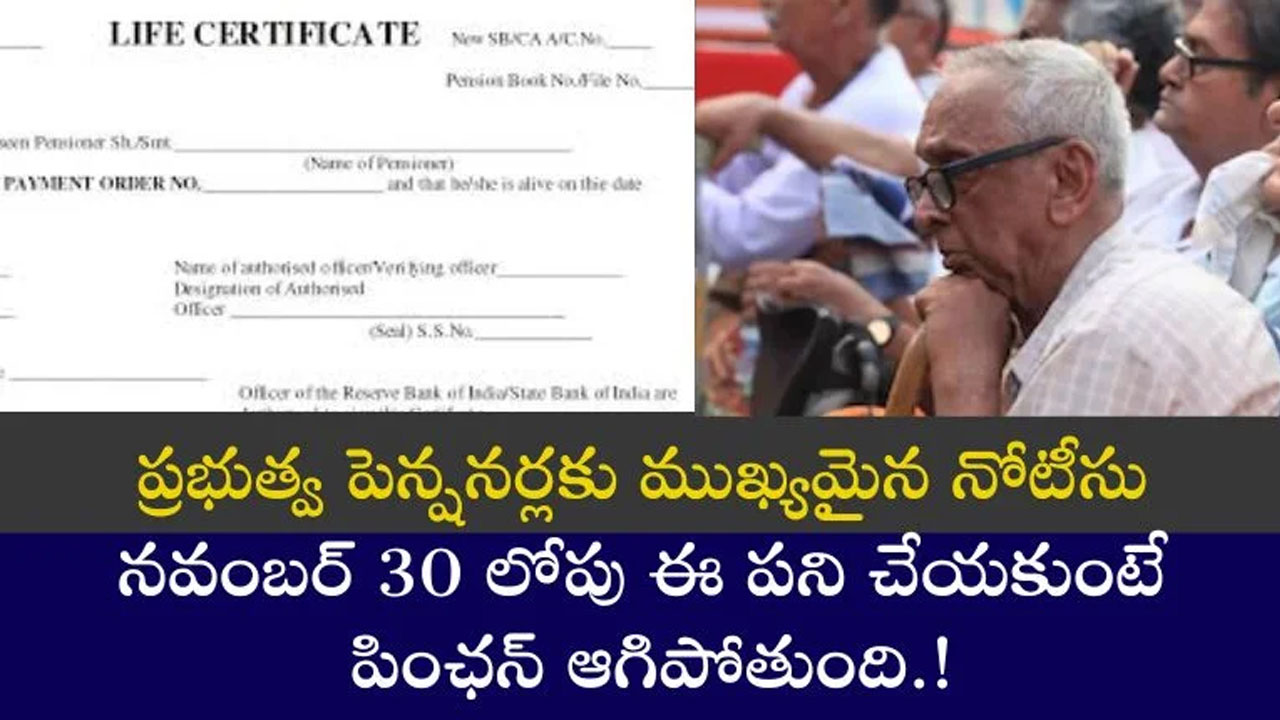 Pensioners : పెన్షనర్స్ కు లైఫ్ సర్టిఫికెట్.. ప్రభుత్వ పెన్షనర్లకు అప్డేట్.. నవంబర్ 30లోపు ఇలా చేయకపోతే పెన్షన్ ఆగిపోతుంది..!