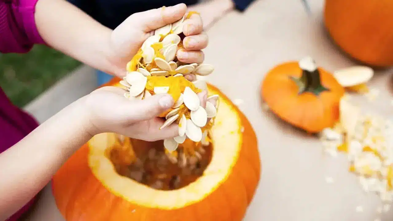 Pumpkin Seeds : గుమ్మడి గింజలను ప్రతిరోజు తీసుకుంటే చాలు... ఎంత భయంకరమైన వ్యాధులైన పరార్...!!