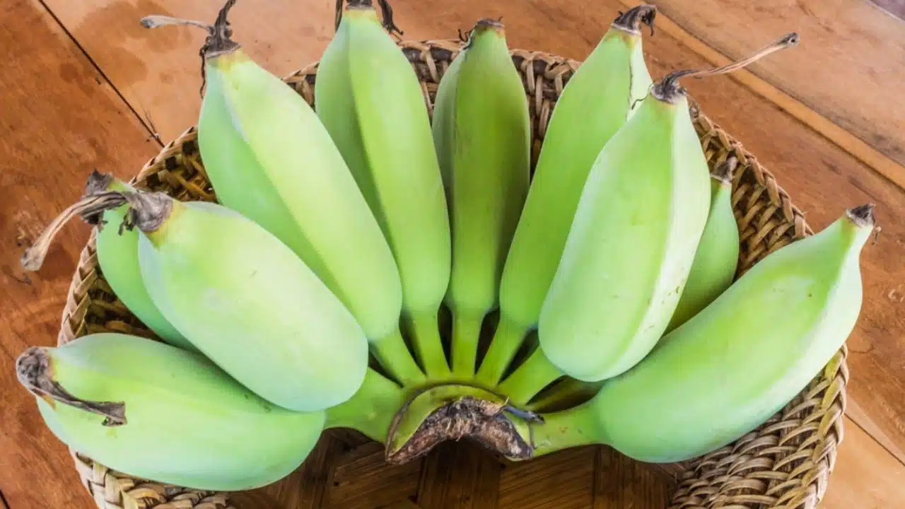 Raw Banana : పచ్చిదే కదా అని తేలిగ్గా తీసేయకండి... ప్రయోజనాలు తెలిస్తే... అస్సలు వదిలిపెట్టరు...!!