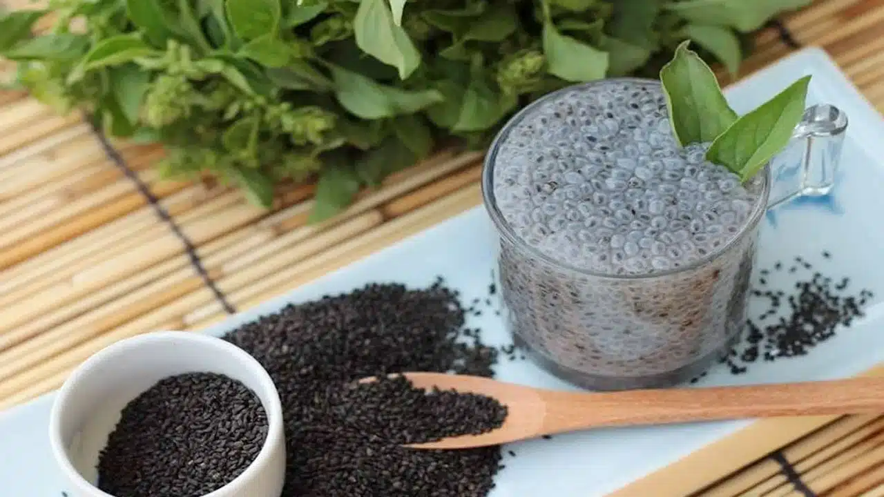 Sabja seeds : ప్రతిరోజు ఉదయాన్నే నానబెట్టిన సబ్జా గింజలు తీసుకుంటే... జుట్టు సమస్యలని ఇట్టే తొలగిపోతాయట ... ఎలాగో తెలుసుకోండి...??
