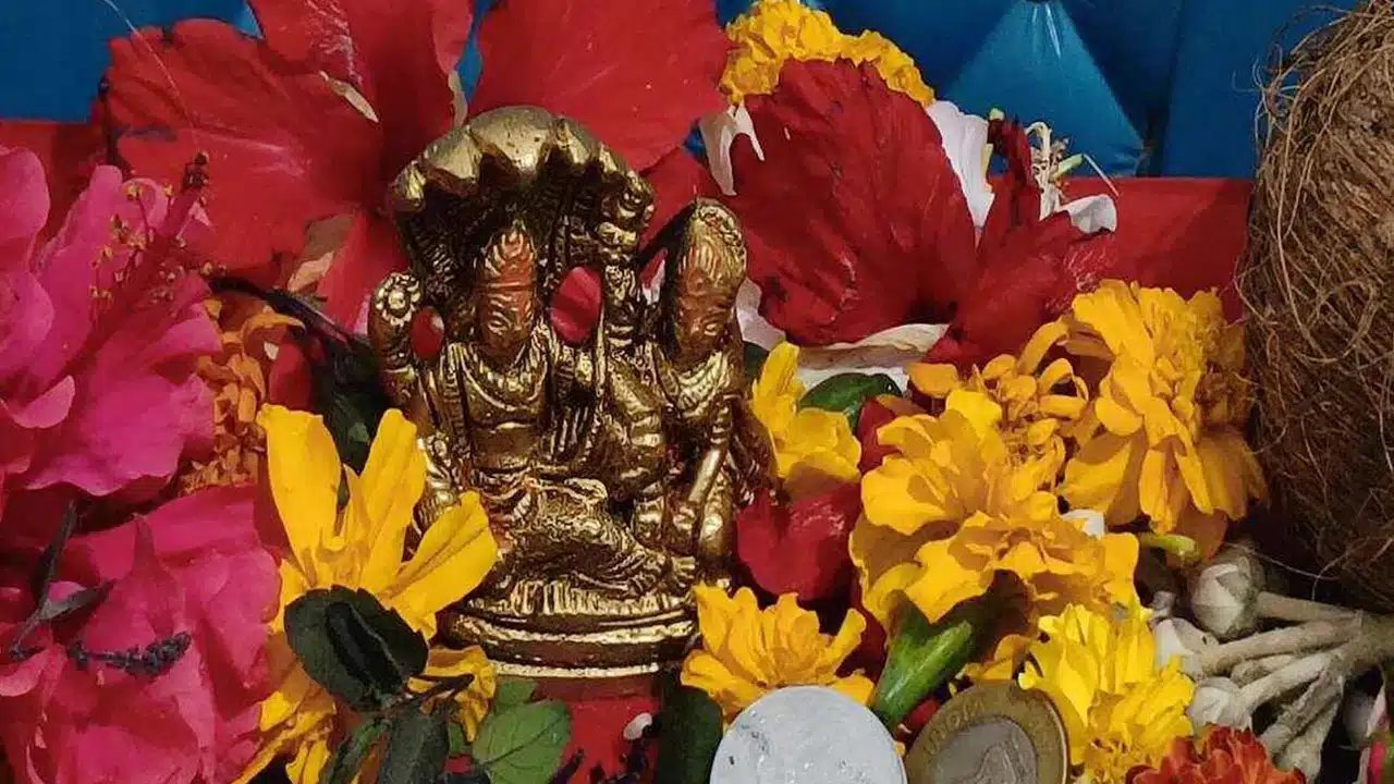 Utpanna Ekadashi : నేడే ఉత్పన్న ఏకాదశి... ఈ శుభ సమయంలో ఈ దానాలు చేస్తే..